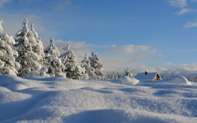 En god overskrift!