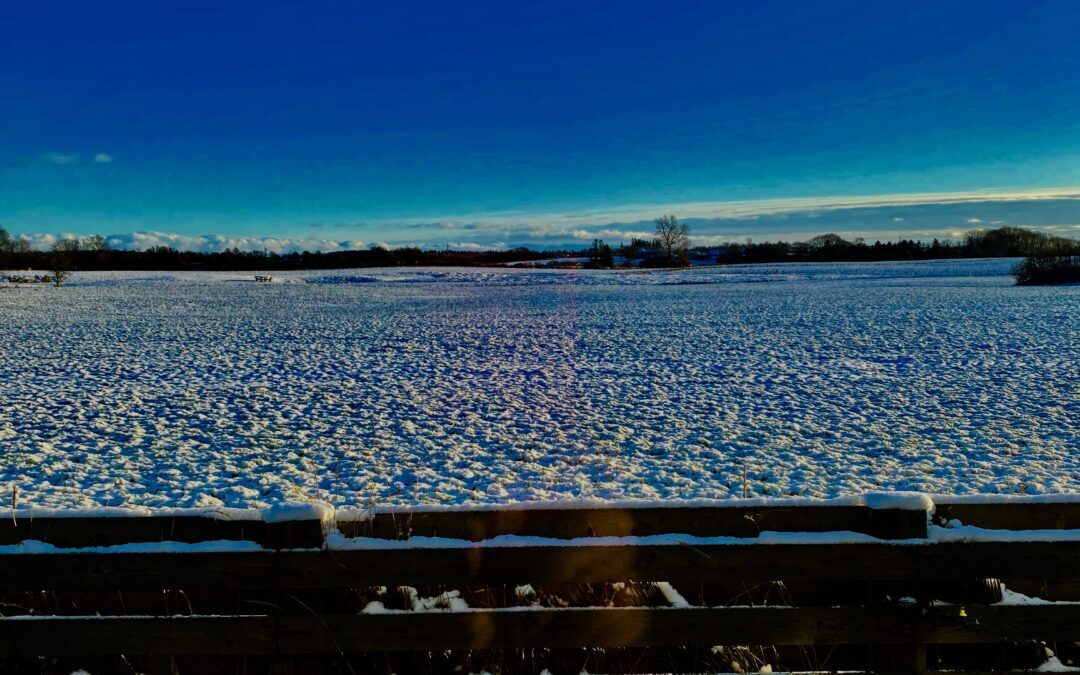 Vi går mod lysere tider