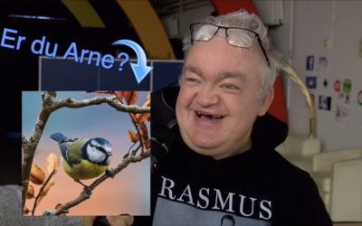 Hvad betyder ordet Croptop? Er Arne en fugl?