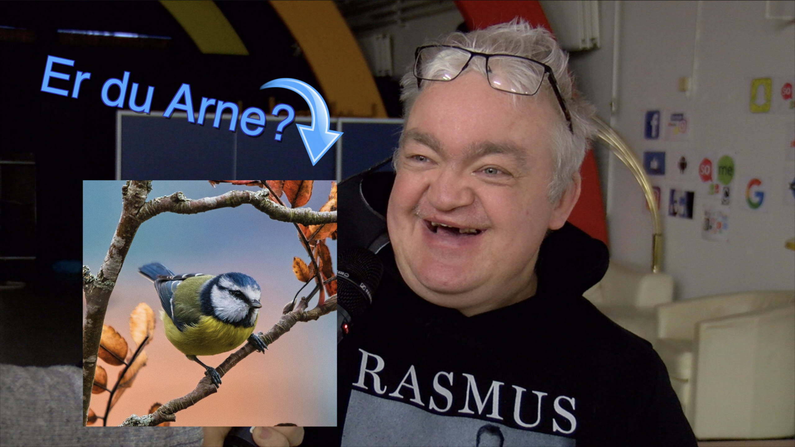 Hvad betyder ordet Croptop? Er Arne en fugl?