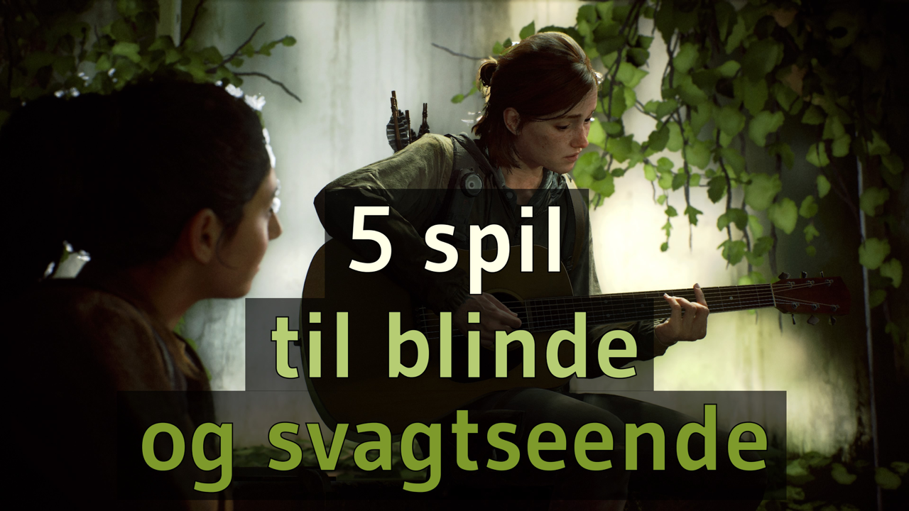 5 spil til blinde og svagtseende