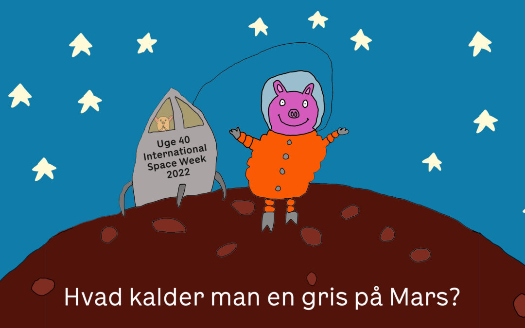 Marsvin (af Nicolai Høyer Søjbjerg)