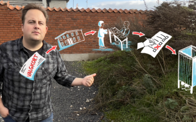 Sådan stemmer du – guide til stemmeboksen