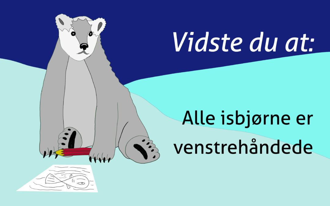 Vidste du…(af Maria Lykke Andersen)