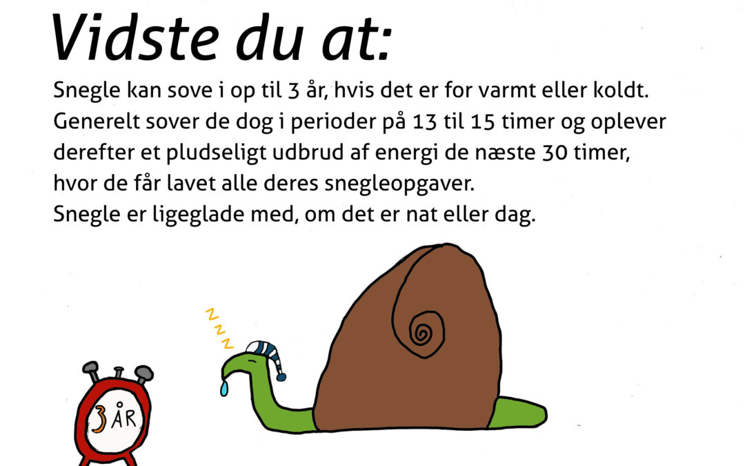 Vidste du…(af Philip Thrane-Møller)