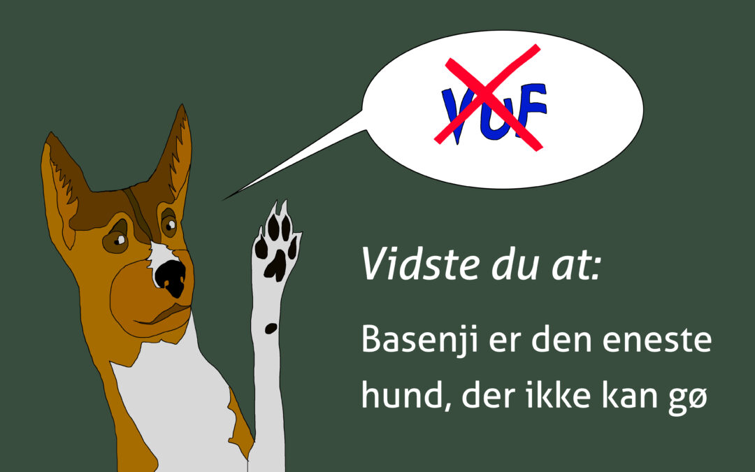 Vidste du…(af Maria Lykke Andersen)