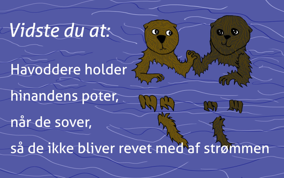 Vidste du…(af Maria Lykke Andersen)