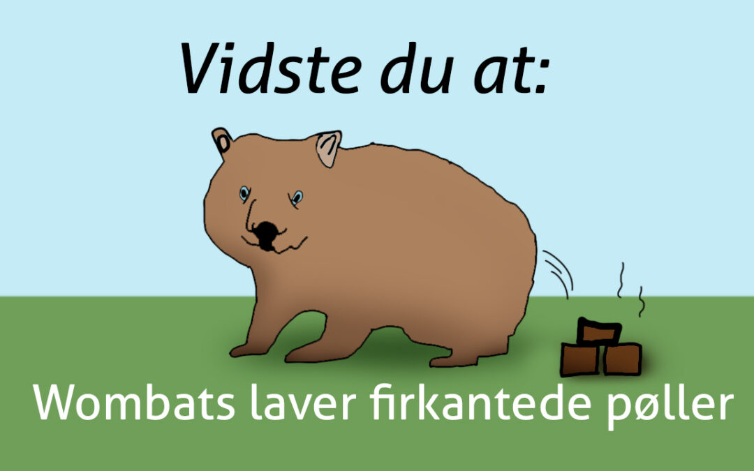 Vidste du…(af Nicolai Høyer Søjbjerg)