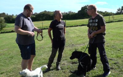 Vi er frivillige: På hundepension