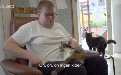 Vi er frivillige: På katteinternat