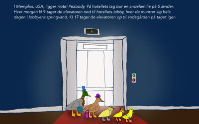 Vidste du at…
