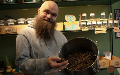 Cannabis, en plante fuld af muligheder