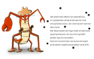Vidste du at…