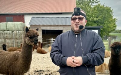 Verden ifølge Andrei – på gåtur med Alpakaer