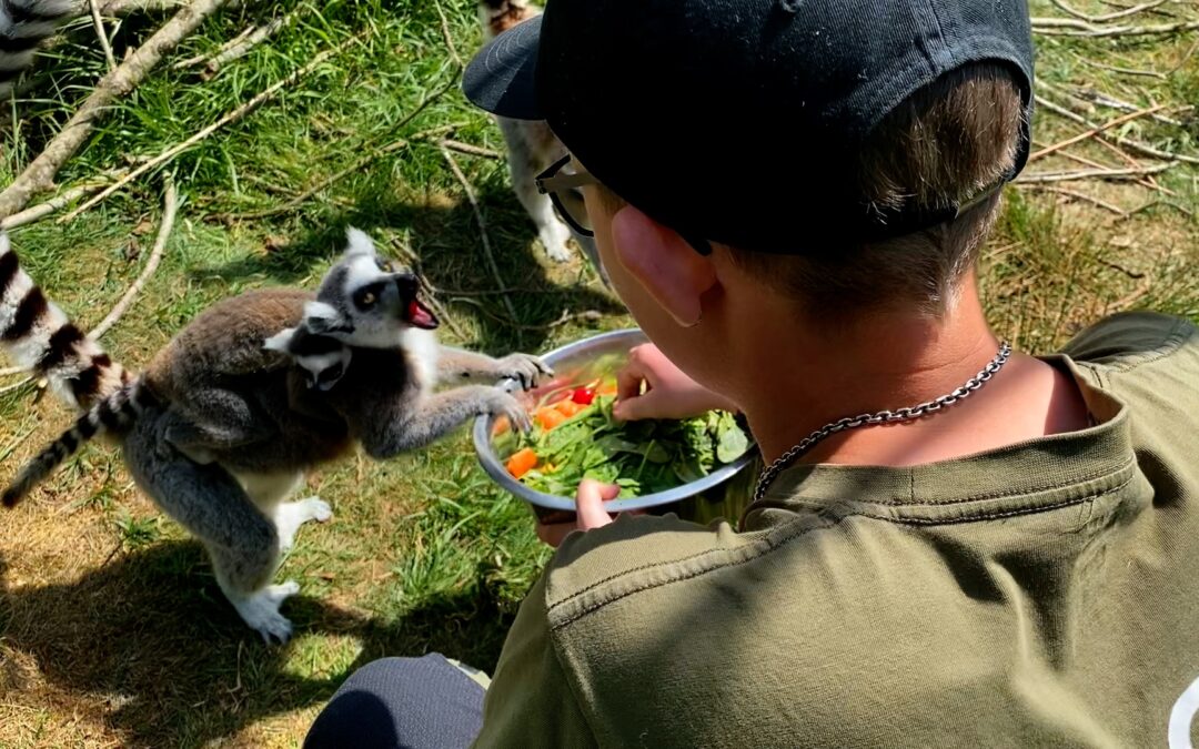VERDEN IFØLGE GLAD: Tro, Kandis og zoobilæum